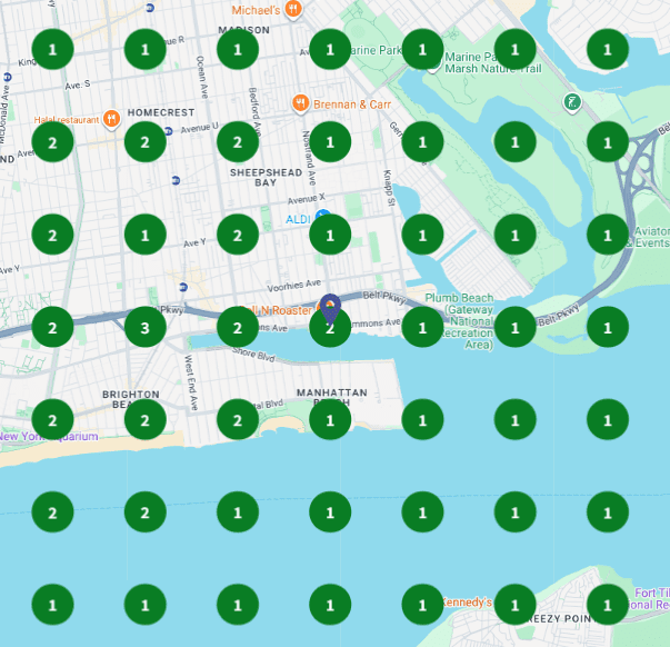 Brooklyn Attorney Local SEO Grid Map Ranking